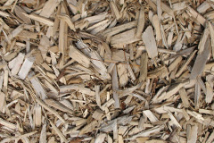 biomass boilers Harcourt